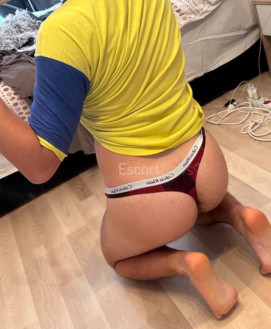 Male Escort